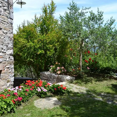 Vakantiehuis Altes Steinhaus Mit Garten By Interhome Corciano